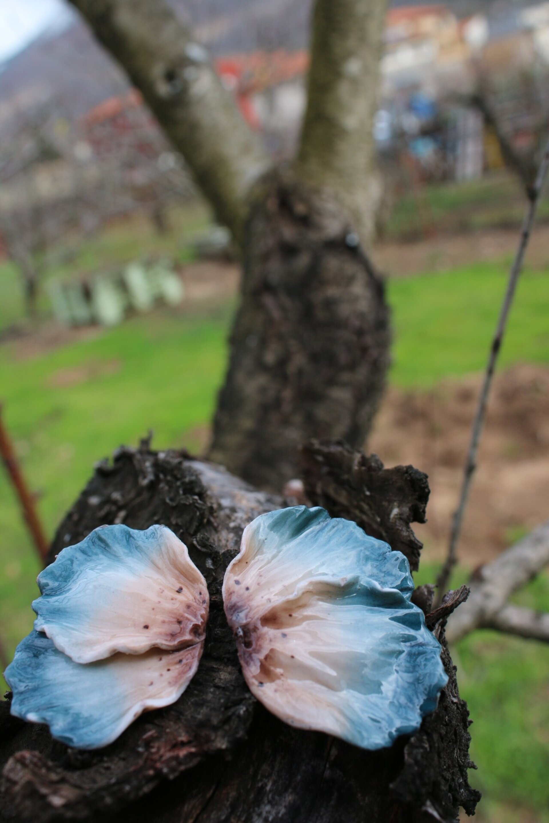 Media Flor Azul - 3